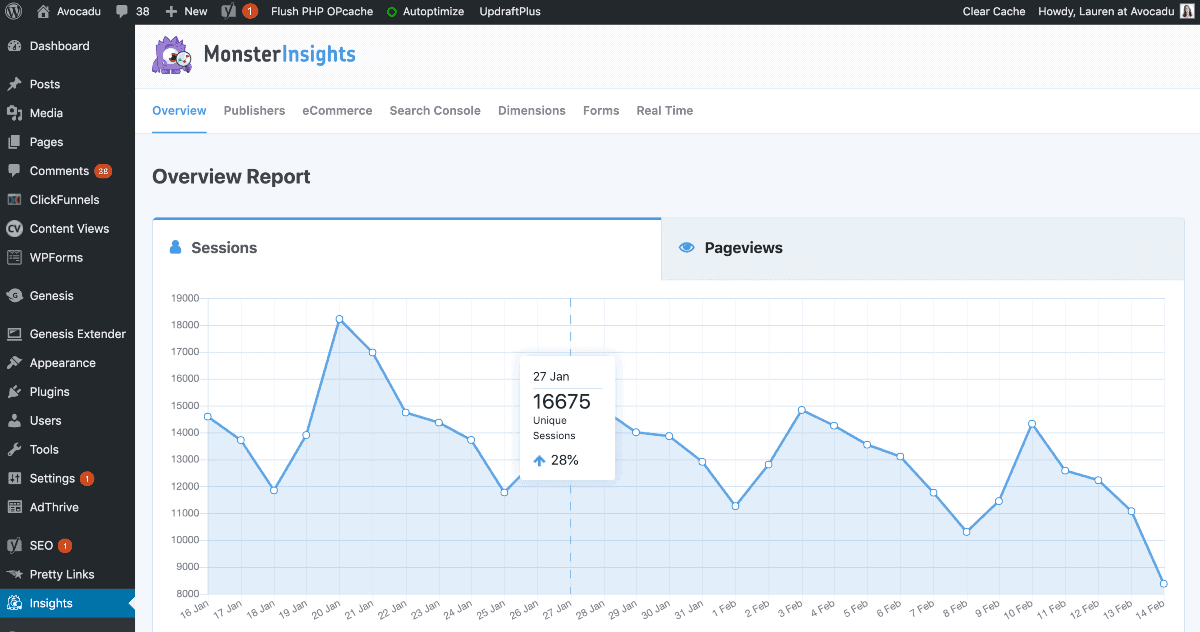 MonsterInsights plugin for WordPress