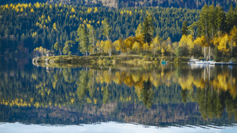 Free Blog Images: 9 Best Sites To Grab Beautiful Stock Images