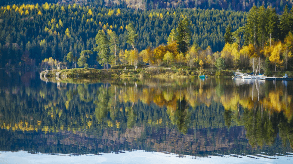 flickr free stock photos autumn forrest