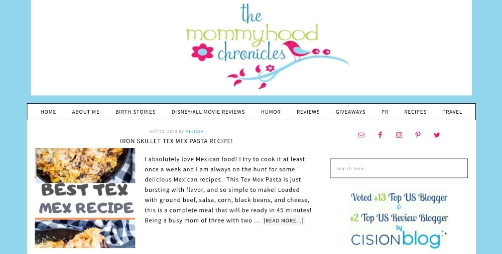 The Mommyhood Chronicles blog