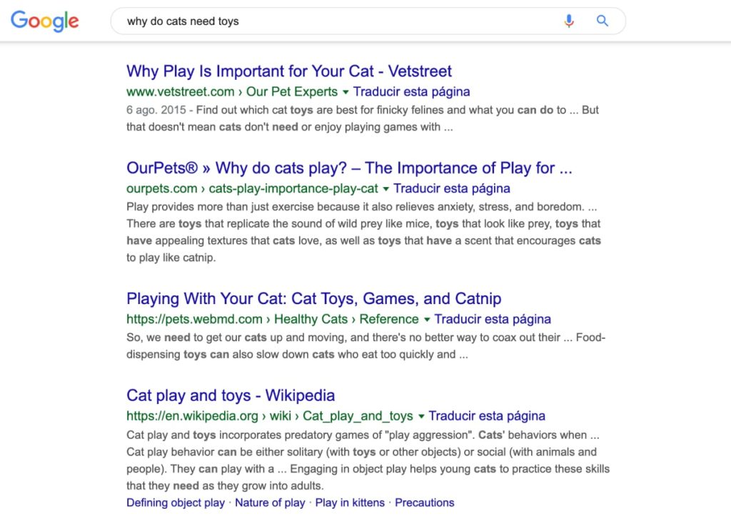 cat toys user intent search
