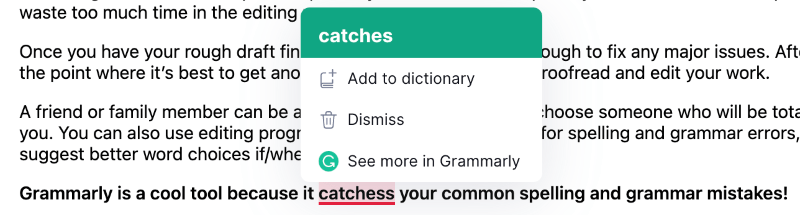 Grammarly screenshot of grammar corrections