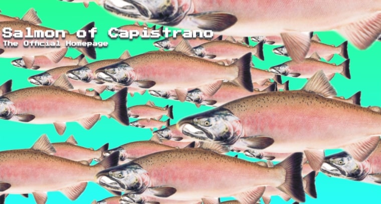 salmon website screenshot