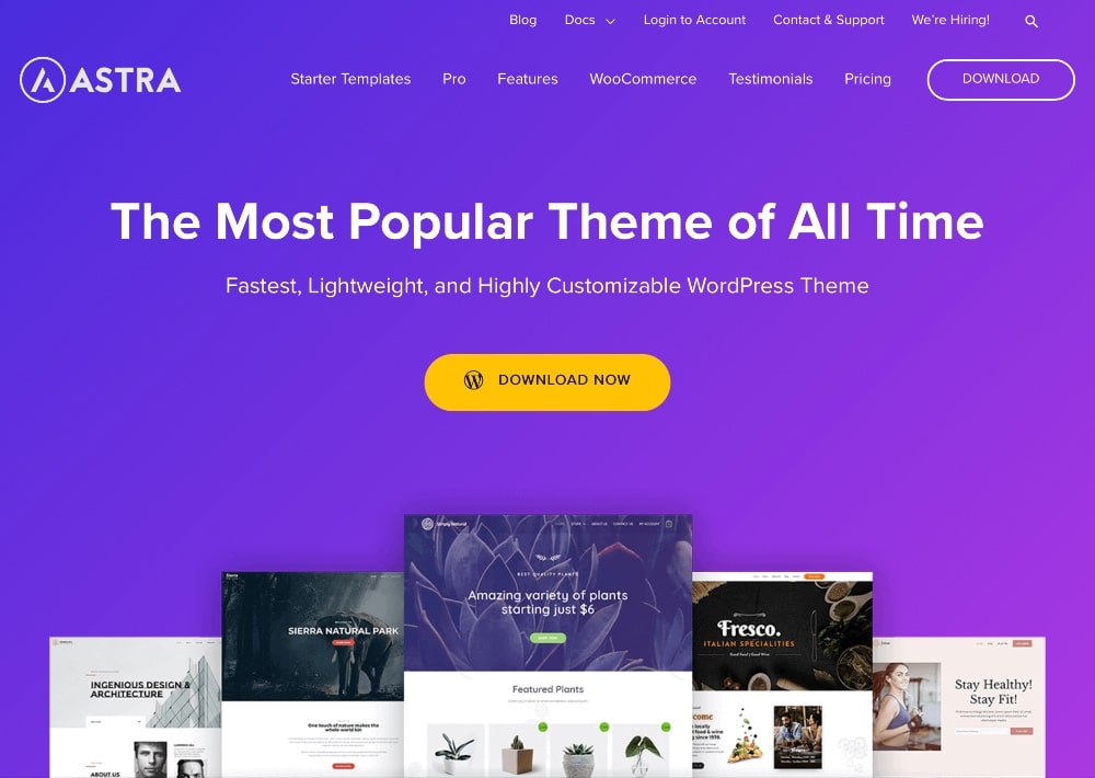 Astra WordPress theme homepage screenshot
