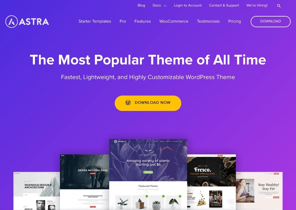 Astra best Wordpress theme