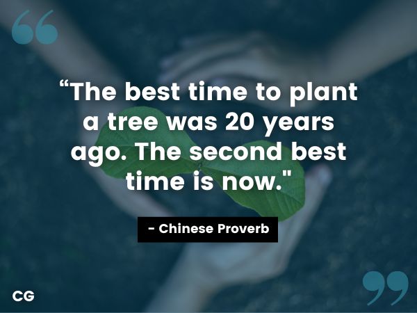 Chinese proverb quote