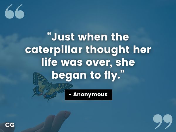 begin to fly quote