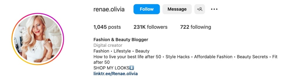 fashion blogger Instagram bio