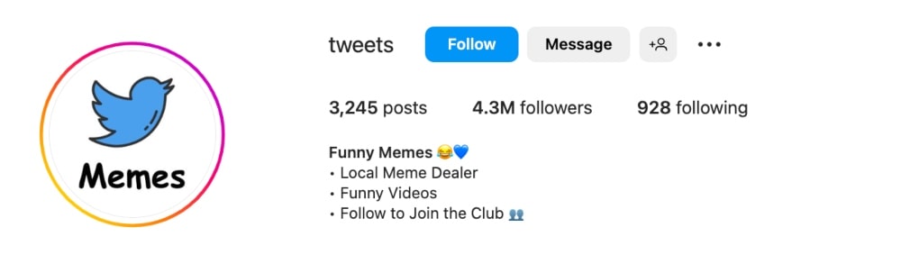 funny Instagram bio ideas example