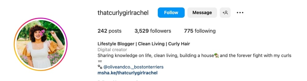 lifestyle blogger Instagram bio