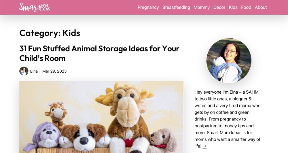 Smart Mom Ideas website