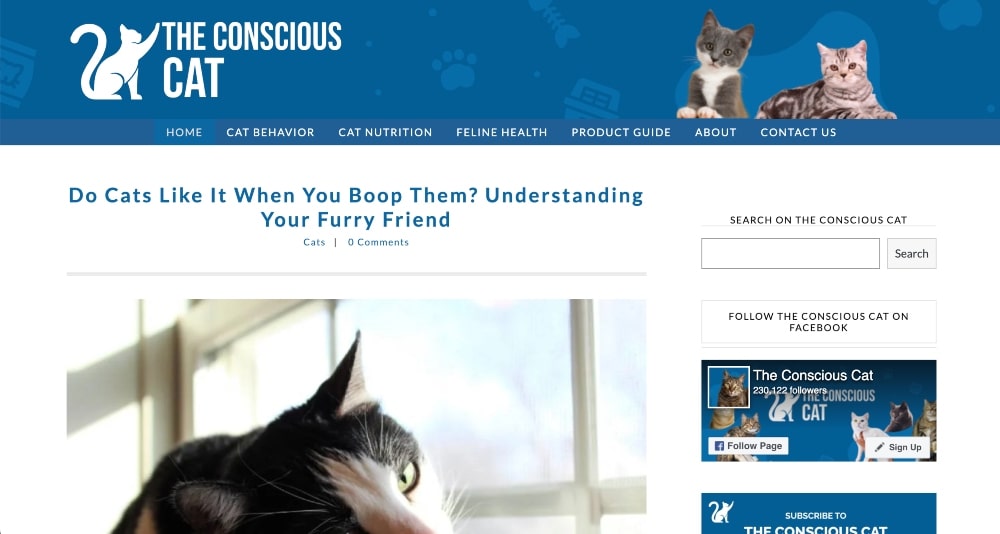 The Conscious Cat website