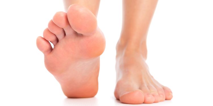 feet on a white background