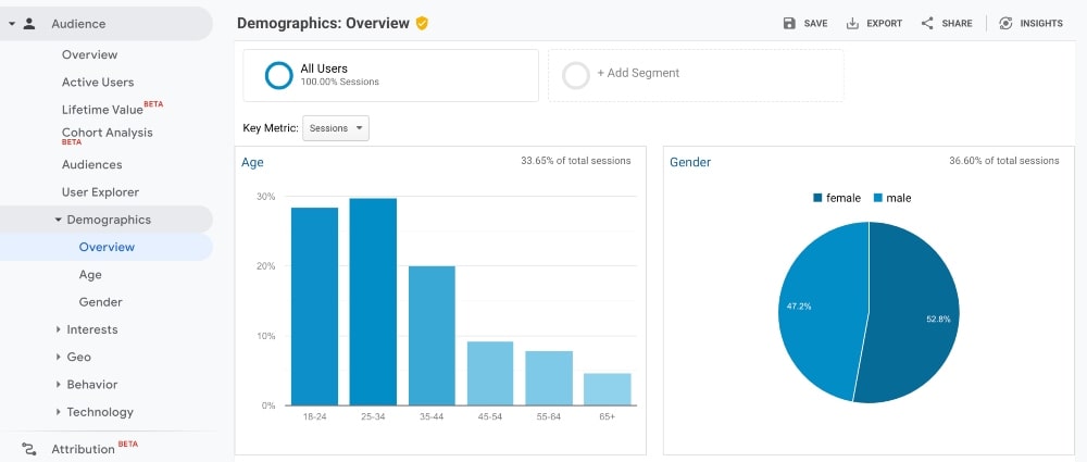Google Analytics audience demographics