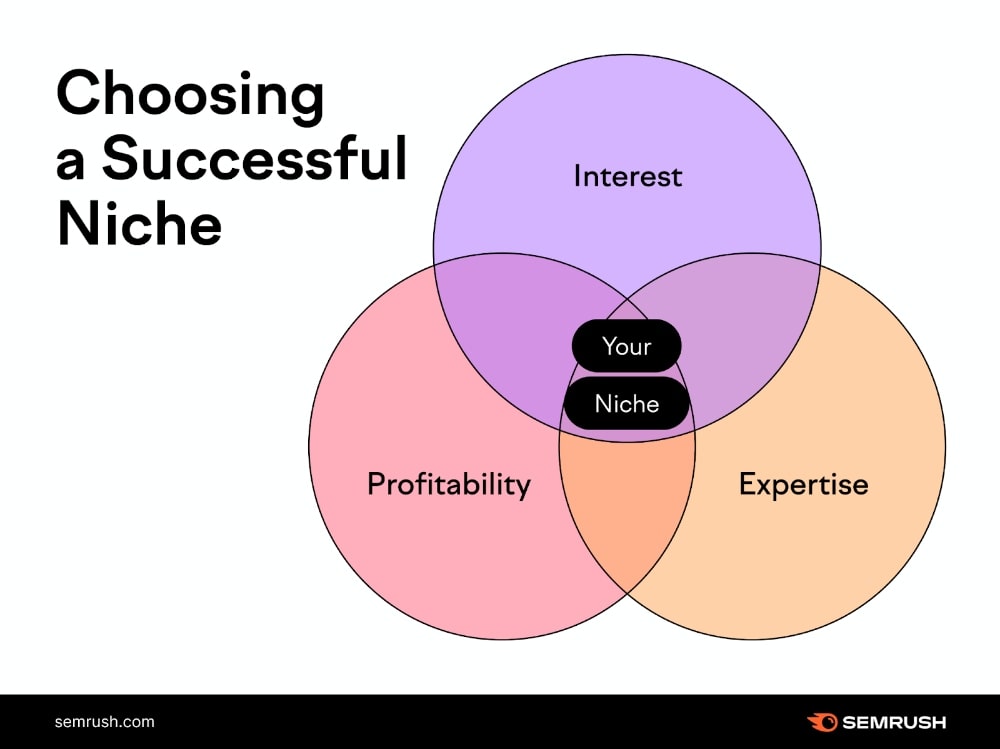 choose a successful niche semrush infographic
