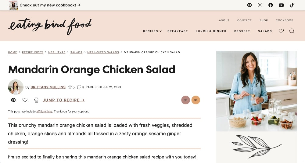 screenshot of Eating bird food blog post example