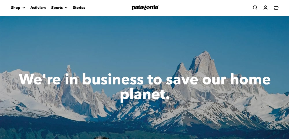 Patagonia mission statement